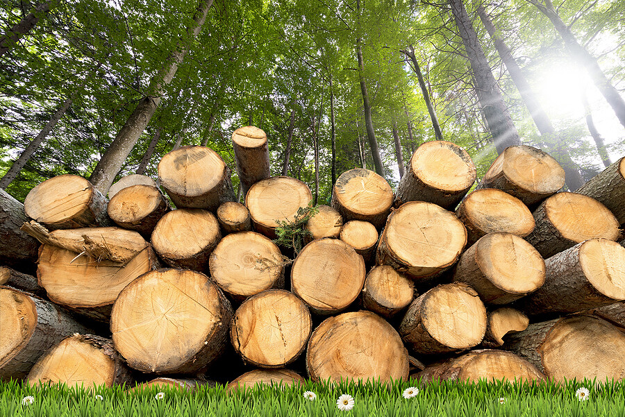 Holzspielzeug aus PEFC und FSC zertifizierte Forstwirtschaft.